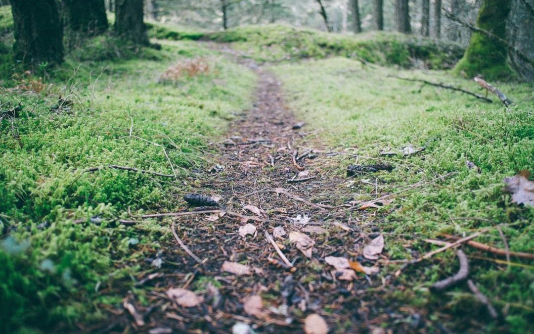 Culpa iure unde similique quo molestiae excepturi